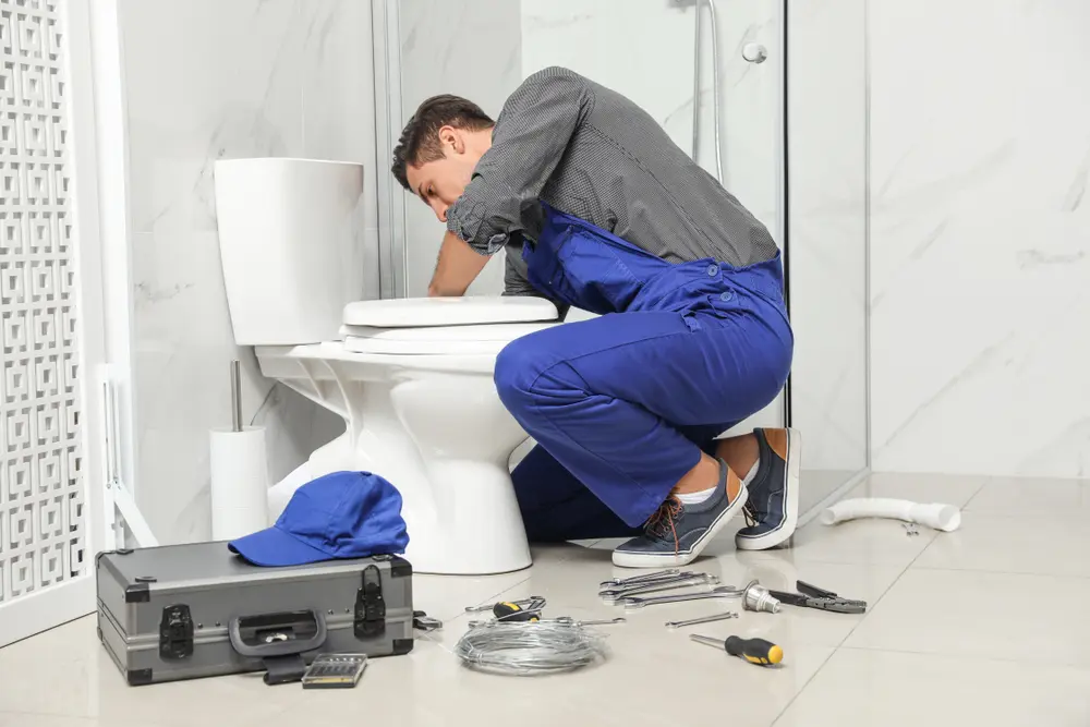 Toilet Installation in Monetta